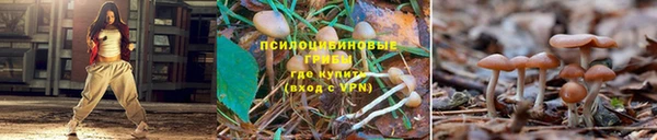 скорость mdpv Алзамай