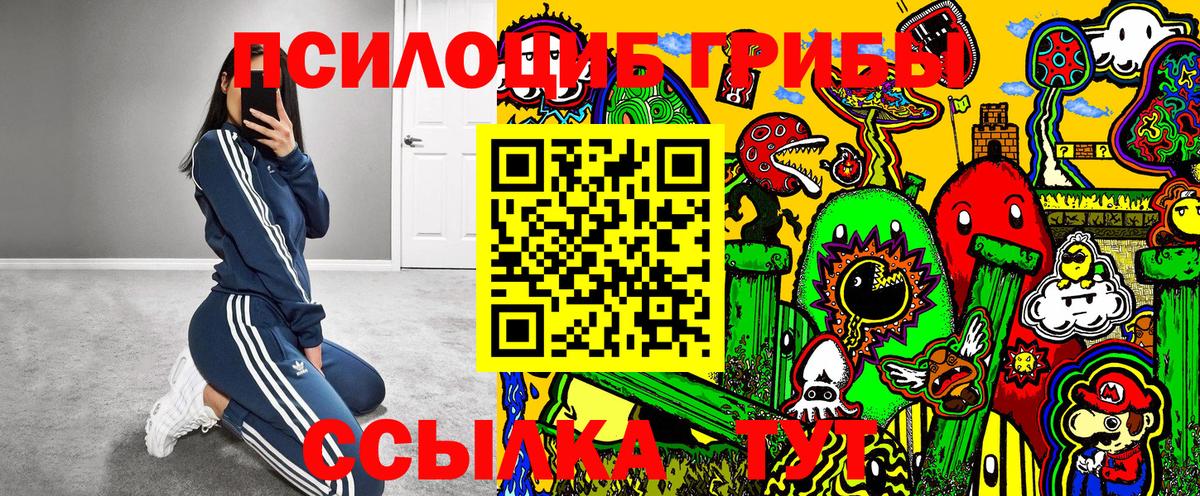 Псилоцибиновые грибы MAGIC MUSHROOMS  Галлюциногенные грибы GOLDEN TEACHER  Протвино  Вход с VPN 