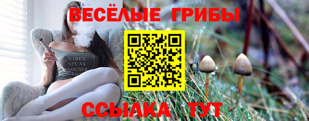 Псилоцибиновые грибы ЛСД Протвино